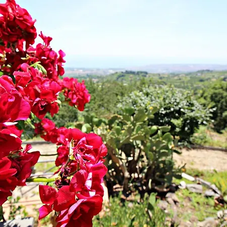 Bellavista Etna * 마스칼리